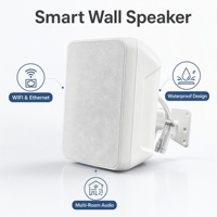 Enceinte intelligente étanche, synchronisation musicale, contrôle facile via l'application Wiim Home, design IPX, puissance de sortie 30-50W, sans microphone intégré