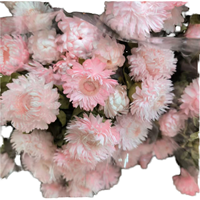 Bunga Daisy Krisan Kering Putih Pink Buatan Tangan, Rangkaian Bunga Abadi untuk Pernikahan Hari Valentine