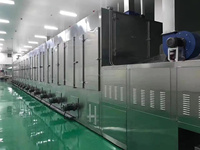 Senven Automatische Doorlopende Mesh Band Droger Machine Energiebesparing Voor Groenten Fruit Motor Gemaakt Ti Sus316l Voedselverwerking