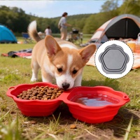 Bol d'alimentation et d'eau portable en silicone deux-en-un, étanche, pour animaux de compagnie, avec design pliable pour chats et chiens