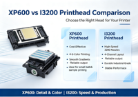 Impresora Plotter de 2.5m para Vinilo, Impresora Digital de Banners Flexibles con Tinta Eco Solvente, Precio de Máquina de Impresión de Gran Formato Xp600 I3200