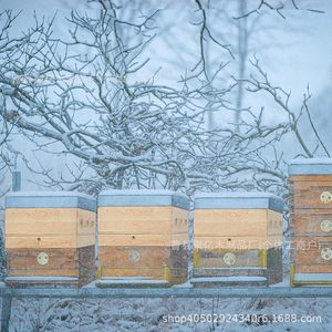 Caja de Alimentación para Abejas de Madera, Rectangular, Duradera, Equipo de Apicultura para Invierno, para Colonias de Abejas - Product Image 1