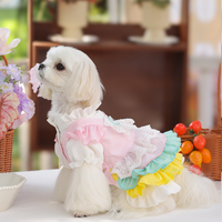 Robes classiques respirantes de couleur unie au design exclusif et moderne pour chiens/chats de petite race, en polyester durable