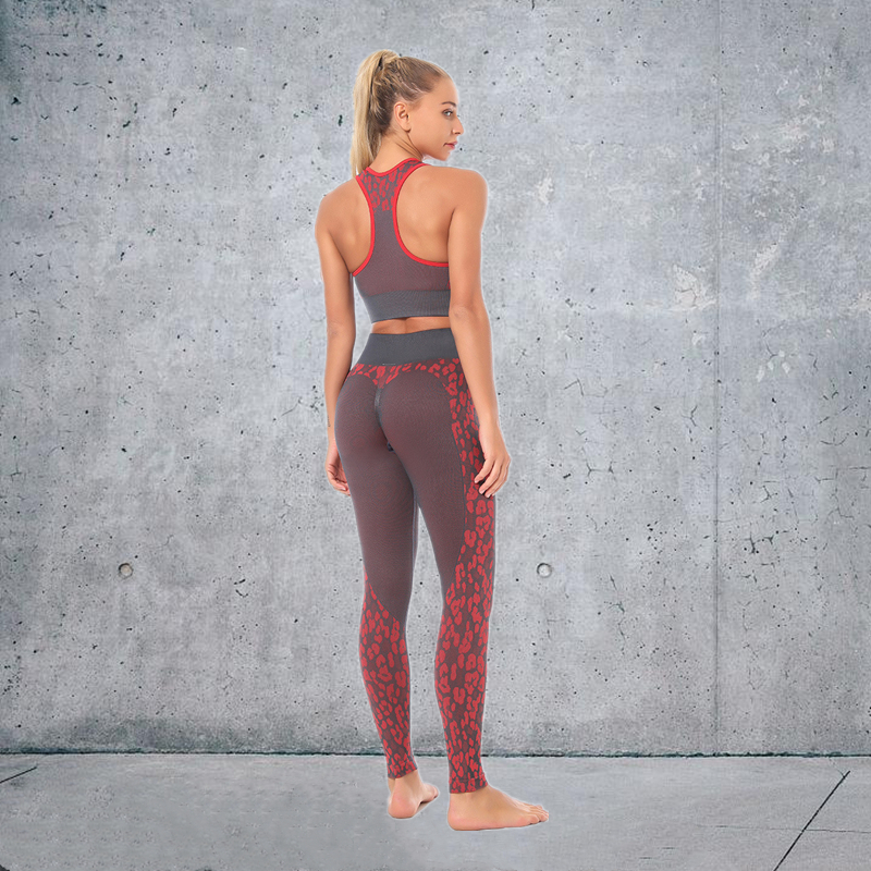 HOT Sale 5 colors Fashion Modern Breathable Workout Clothing Popular Women Active Wear Yoga Set hygroscopic