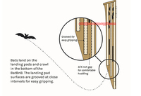 Nichoir pour chauves-souris en bois massif pour jardin extérieur, avec design écologique pour la lutte contre les moustiques et les nuisibles