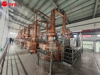 Alambic en cuivre de qualité supérieure DYE 10000L+7000L pour la production artisanale de whisky