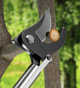 Cesoie <span class=keywords><strong>da</strong></span> potatura ad alta portata con molla telescopica in acciaio inossidabile per <span class=keywords><strong>potare</strong></span> alberi <span class=keywords><strong>da</strong></span> <span class=keywords><strong>frutto</strong></span> ad alta quota - Product Image 2