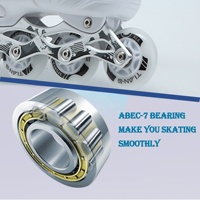 Rollers en Ligne Professionnels pour Adultes, Taille Réglable, Coque PP, avec 4 Roues Clignotantes pour Patinage en Extérieur