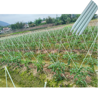 Piquets agricoles en fibre de verre haute résistance, pointus, 4, 5 et 6 pieds, tiges FRP flexibles et durables pour le soutien des semis, des vignobles et des cultures