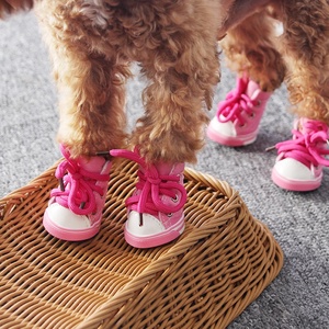 Sapatos de cachorro de arco-íris, cores nove, botas quentes, antiderrapante, sapatos em branco para cachorros - Product Image 5