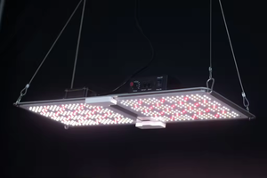 JK Growlights Aluminio IP65 <span class=keywords><strong>LED</strong></span> Luz de cultivo <span class=keywords><strong>casero</strong></span> <span class=keywords><strong>para</strong></span> plantas Veg con atenuador Samsung Lm281b Lámpara de cultivo de plantas de espectro de ciclo completo - Product Image 6