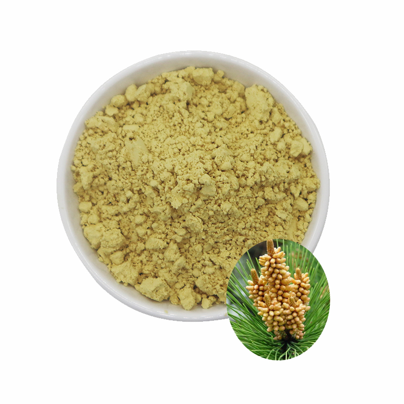 Wholesale Bulk Organic Broken Pine Pollen Powder
