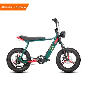 Elekromos kerEkpar 48v 20 pouces 36v 1000w moteur de moyeu de vélo électrique batterie 750w vélo électrique