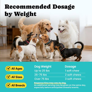 Friandises à Mâcher Apaisantes Anti-<span class=keywords><strong>Anxiété</strong></span> pour Chiens – Compléments Alimentaires Santé pour Animaux <span class=keywords><strong>de</strong></span> Compagnie à base <span class=keywords><strong>de</strong></span> Mélatonine, Camomille Bio et L-Théanine - Product Image 5