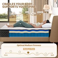 Livraison gratuite en stock - Matelas en mousse à mémoire de forme respirant et hypoallergénique - Tailles Twin, Queen, King disponibles avec emballage enroulable