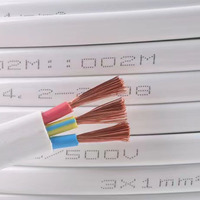 Cables Planos de Voltaje Nominal para Uso Doméstico, Venta al Por Mayor de Fábrica Personalizada