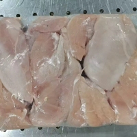 Poitrine de poulet fraîche congelée sans peau Halal Saveur et texture excellentes Durée de conservation de 24 mois Origine pour restaurant et usage domestique