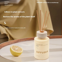 Nouveau parfum d'huile essentielle d'aromathérapie d'intérieur de longue durée maison chambre à coucher série temporelle sans feu ensembles de diffuseurs de roseaux
