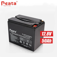 Baterai Lithium Ion Fosfat LFP 12V50Ah, Promo Panas untuk Forklift Listrik/Lampu Jalan Tenaga Surya/Skuter Listrik/UPS