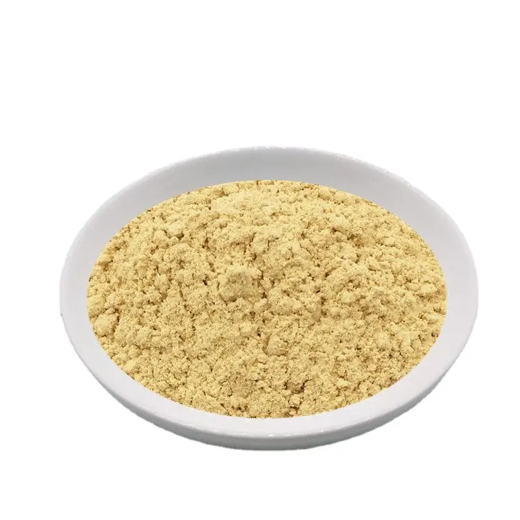 Dried Ginger Extract Powder New Crop 100% Natural Seed The Size and Packing of Products Can Depend on Buyers' Requirements AD