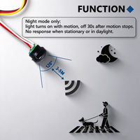 Module de capteur de mouvement infrarouge miniature IKSLED 12V24V noir - Capteur basse tension, avec capteur de contrôle de la lumière/Mode nuit uniquement