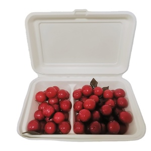9''x 6'' Sugarcane Paper box Biodegradable Bagasse Pulp White/Natural Food Container Lunch Box take away clamshell box