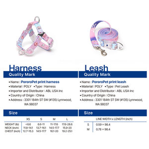 Ensemble Harnais et Laisse pour Chien PororoPet Loopy, Réglable, Respirant, en Maille, avec Bretelles Croisées au Dos - Product Image 6