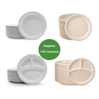 Assiettes jetables en bagasse compostables, 50 pièces, grand format, écologiques, pour traiteur, fêtes et événements
