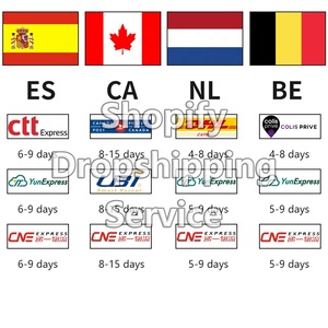 Shopify Fulfillment Agents d'expédition de Chine au Canada Fournisseur de fret aérien à Dropship CA USA Mexique DDP Logistics - Product Image 4