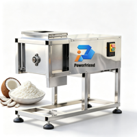 Elektrische commerciële kokosnootsnijmachine van roestvrij staal, kokosnootverwerker, 100 kg per uur, professioneel, zwaar gebruik, horeca