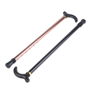 Bâton de marche télescopique en deux sections, en alliage d'aluminium, léger, antidérapant, pour la randonnée en plein air - Product Image 1