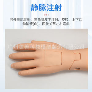 Maniquí de enfermería avanzado con funciones completas, maniquí de cateterización masculino y femenino con órganos internos, úlceras por presión, orales y - Product Image 2