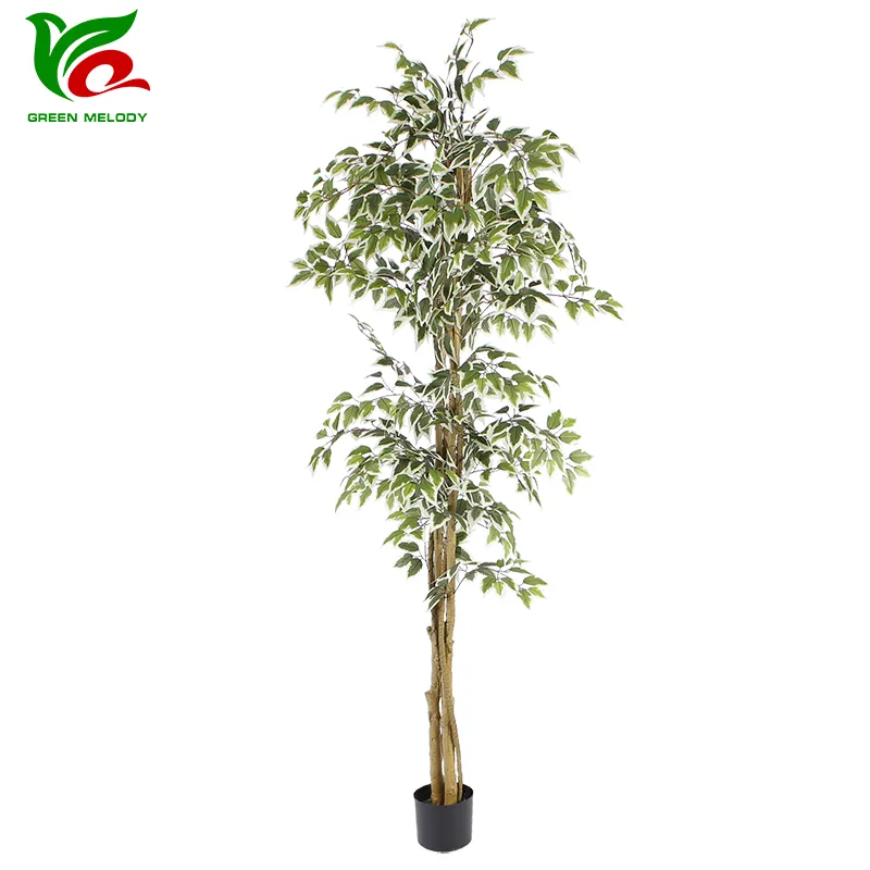 Árbol Ficus artificial de 2,1 m de altura con hojas verdes con bordes blancos y tronco de madera natural para la decoración del hogar de la Oficina interior