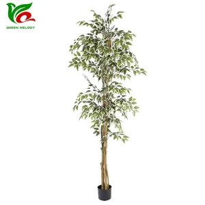 2.1m Tall Artificial Ficus Tree With White Edged Green Leaves And Natural Wood Trunk For Indoor Office Home Decor
