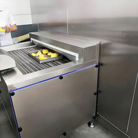 Fabrieksdirect aanpasbare tunnelvriesmachine voor de productie van snelgevroren fruit en groenten