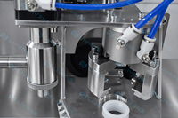 Machine de remplissage et de bouchage automatique pour sachets de lait, jus, huile, sauce, vin et Bag-in-Box (BIB)