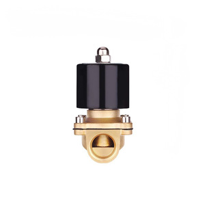 Válvula Solenoide de Control de CC de 24 V, Totalmente de Cobre, 2W500-50, 2 Pulgadas DN50, para Agua/Gas, Piloto de CA de 220 V, Cierre Normal - Product Image 1