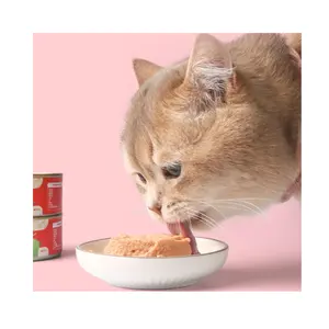 Surtido de comida húmeda Premium para gatos: sabores suculentos de salmón y atún para el bienestar y el deleite felinos