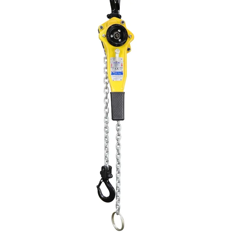 Hot bán DPC va loại 3 tấn LEVER hoist tay khối của nhãn hiệu hoist Palăng xích Crane thiết bị băng tải chuỗi di động Lift