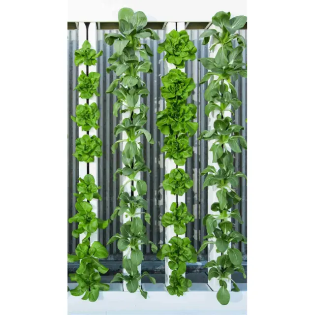 ПВХ декоративные вертикальные zipgrow башни стены для наружного и внутреннего снаружи со стеной из живых растений интерьера молния гидропоники стены