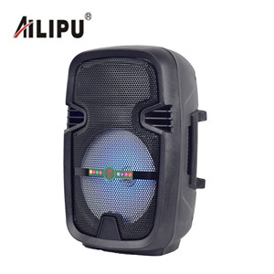 Altavoz Portátil Profesional Inalámbrico de 8 Pulgadas con Subwoofer y Control Remoto, con Micrófonos en Venta - Product Image 4