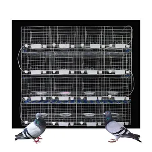 GSF Cage à oiseaux d'élevage de pigeons en métal, Cage à pigeons Cage de Type H