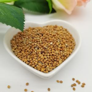 <span class=keywords><strong>Millet</strong></span> perlé hybride de qualité supérieure, jaune, blanc, rouge, doré, en gros, fourni par l'usine - Product Image 2