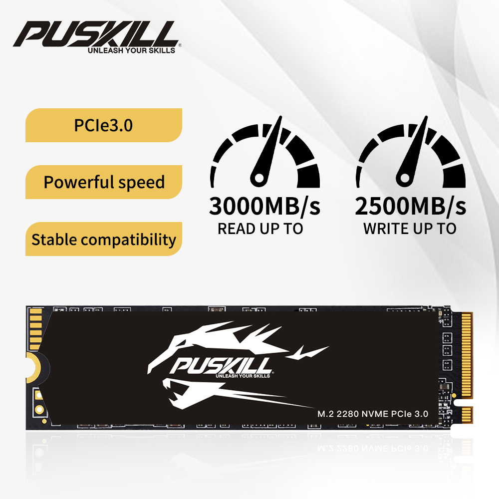 SSD PusKill, M.2 NVMe, 2280, 2500MB/s e 2000MB/s