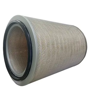 Filter Luchtfilter Truck Lucht 4331M Voor Luchtinlaat K744 1310036317 C21630 P781039 P782093 Filter Voor Auto 'S