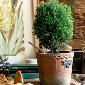 กระถางดอกไม้ทรงรีแบบใหม่ สีแดง รักษ์โลก ทำจากเซรามิก ลายดอกไม้โบราณ สไตล์วินเทจ อเมริกัน ยุโรป แบบชนบท ขนาดใหญ่ สำหรับสวน - Product Image 4