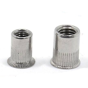 304 thép không gỉ đinh tán hạt đinh tán hạt phẳng đầu dọc đinh tán Nut M8 <span class=keywords><strong>M12</strong></span> M14 - Product Image 2