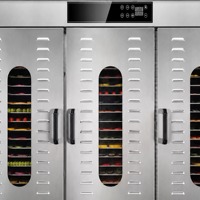 Séchoir alimentaire commercial en acier inoxydable à 60 couches haute capacité pour fruits, légumes, herbes et saucisses