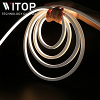 WITOP-Bande lumineuse en silicone pour décoration de façade extérieure, étanche IP67 10x10mm, LED 12/24V