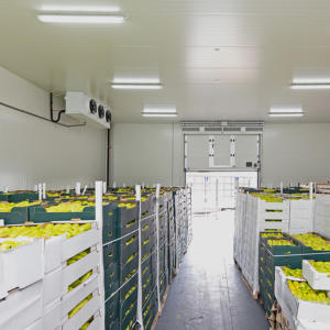 Chambre froide pour le stockage des fruits Belle chambre froide pour la mangue et le citron Entrepôt professionnel Chambre froide - Product Image 1